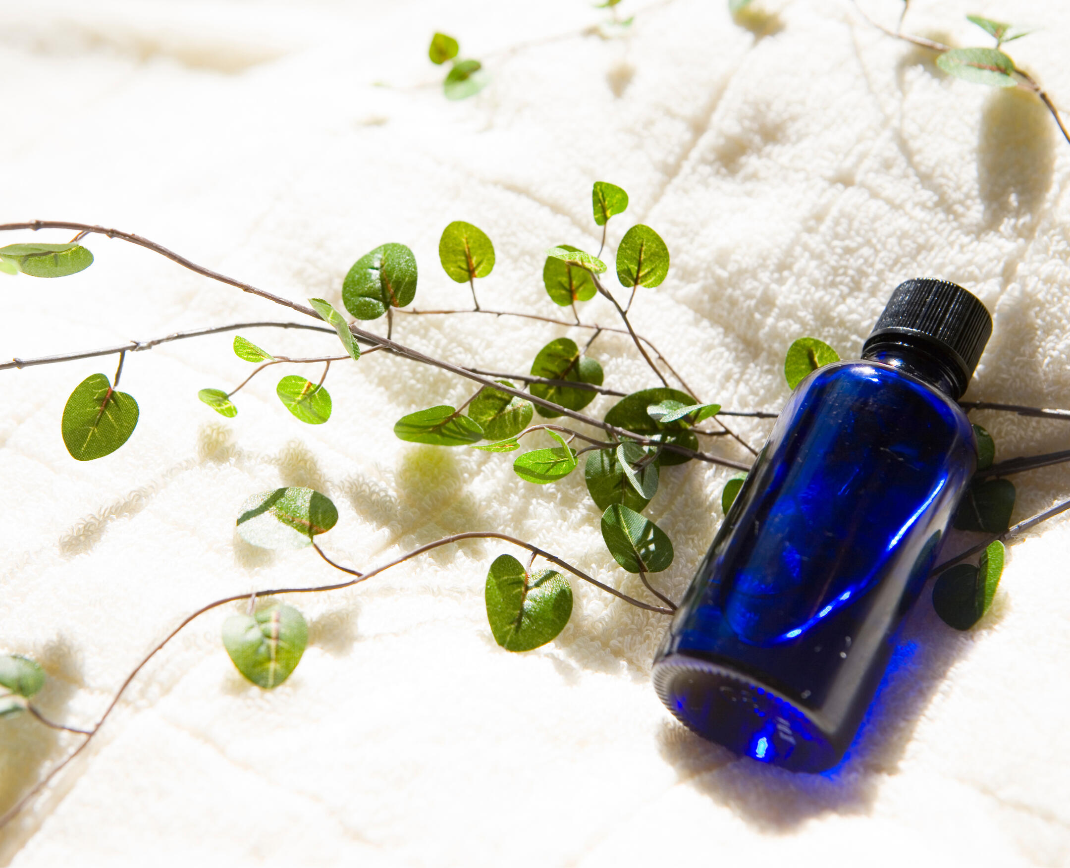 Photograph of essential oils and herbs used in treatments provided by Ri Richards BSc, founder of Grangetown Reflexology - fully insured, DBS approved and highly trained to Level 6 Holistic Massage & Level 5 Clinical Reflexology and Aromatherapy.