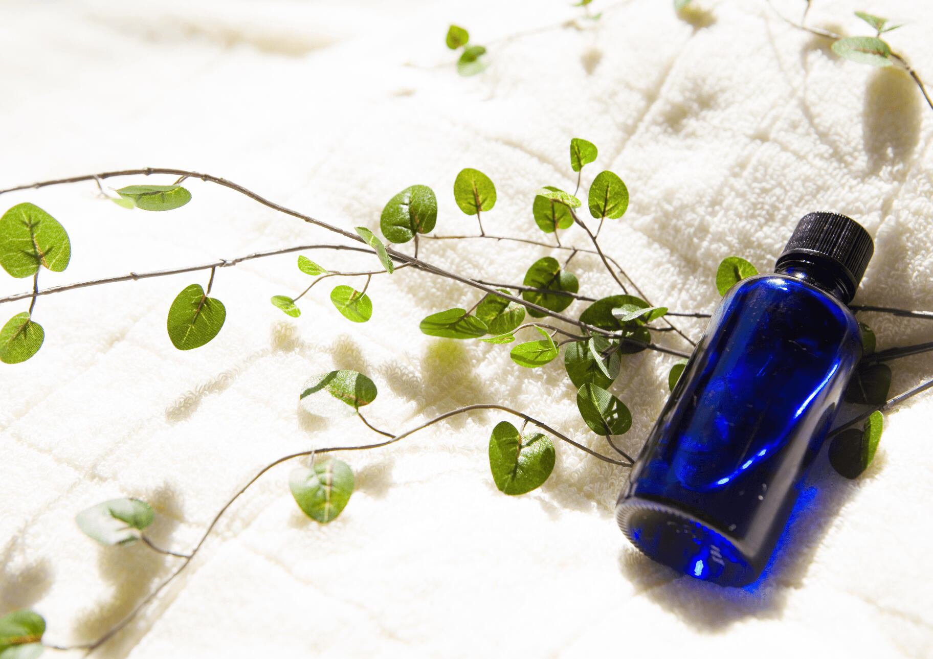 Photograph of essential oils and herbs used in treatments provided by Ri Richards BSc, founder of Grangetown Reflexology - fully insured, DBS approved and highly trained to Level 6 Holistic Massage & Level 5 Clinical Reflexology and Aromatherapy.